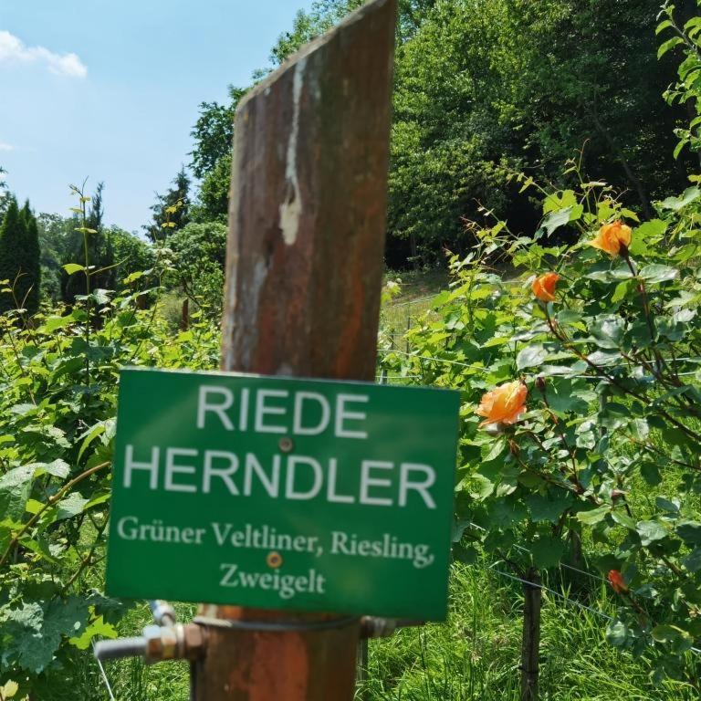 Privatzimmer Am Weinbrunnen Vorchdorf Kültér fotó